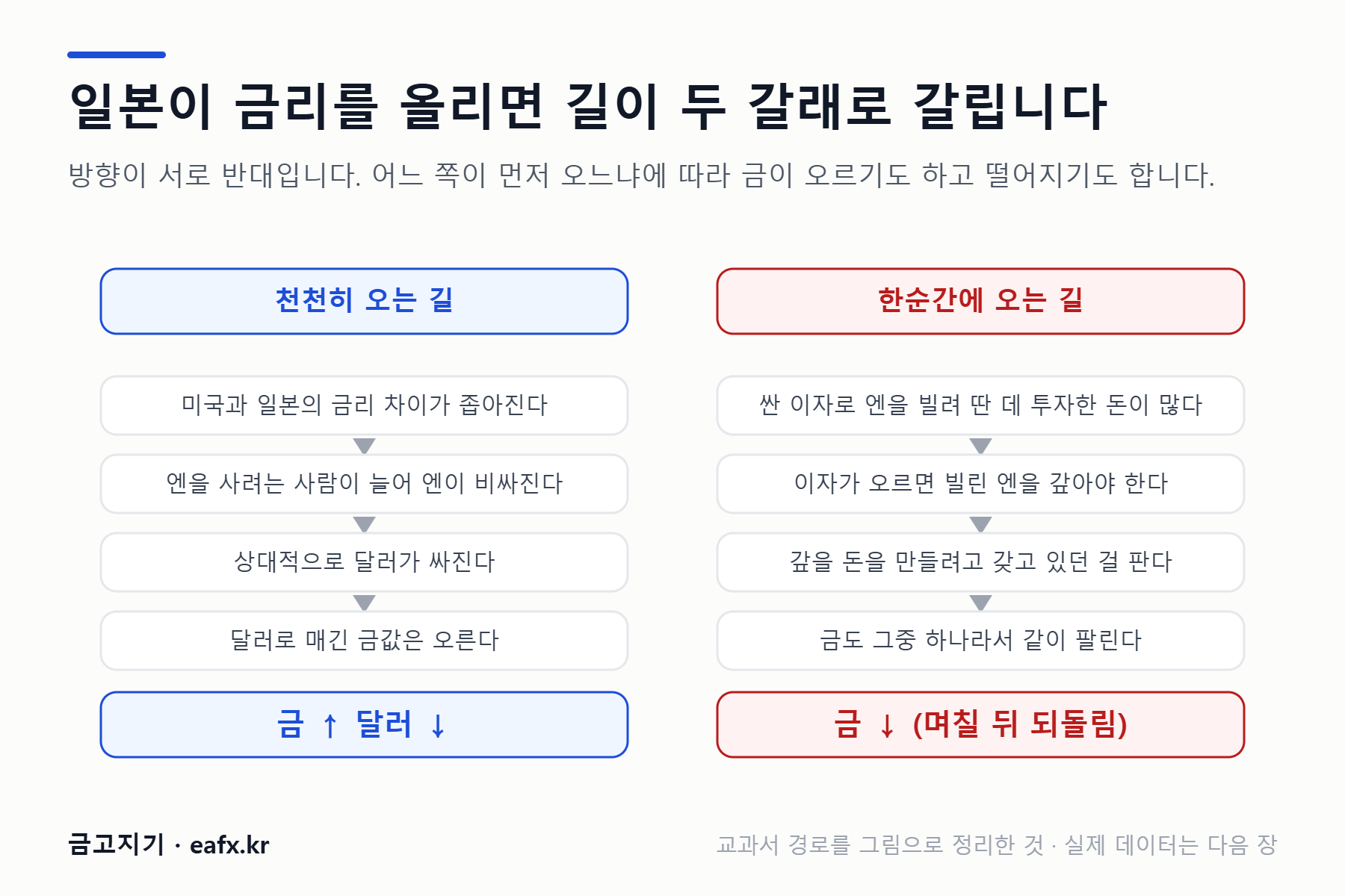 일본 금리 인상이 금에 미치는 두 갈래 경로 다이어그램