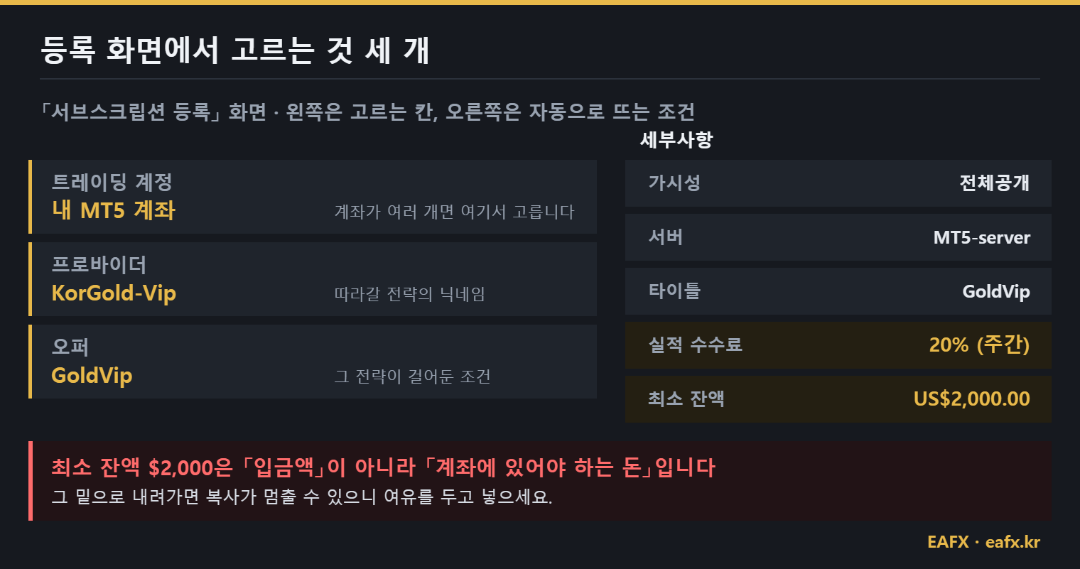 M4Markets 소셜 트레이딩 서브스크립션 등록 화면